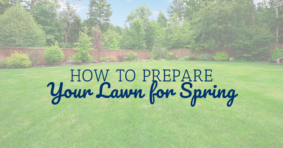 How to Prepare Your Lawn for Spring