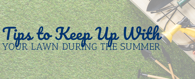 Tips to Keep Up With Your Lawn During the Summer